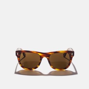 Lunettes de soleil tigre (produit de démonstration woocommerce)